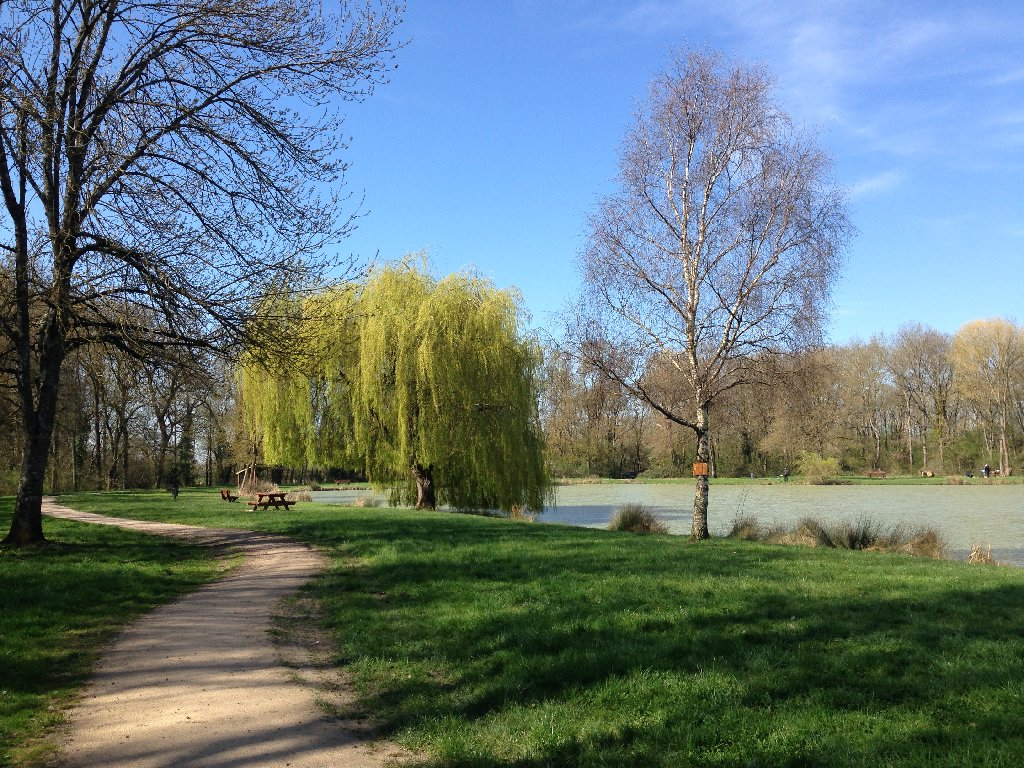 Etang communal - Lailly en Val